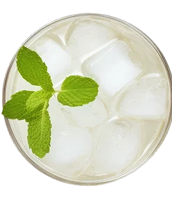 Refreshing Mint Cocktail